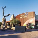 Butterfly Wonderland