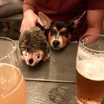 Grist House Craft Brewery