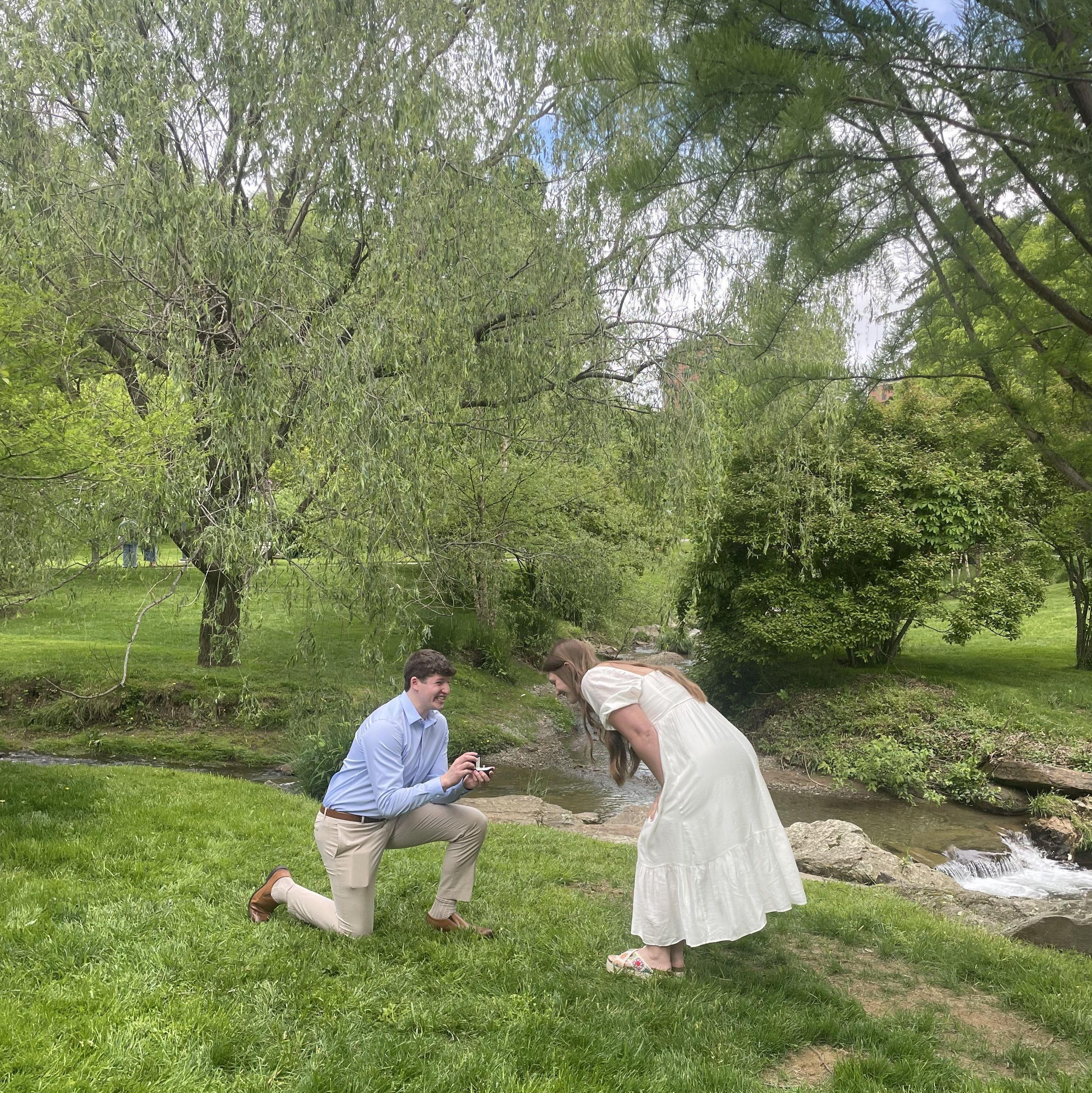 Our proposal