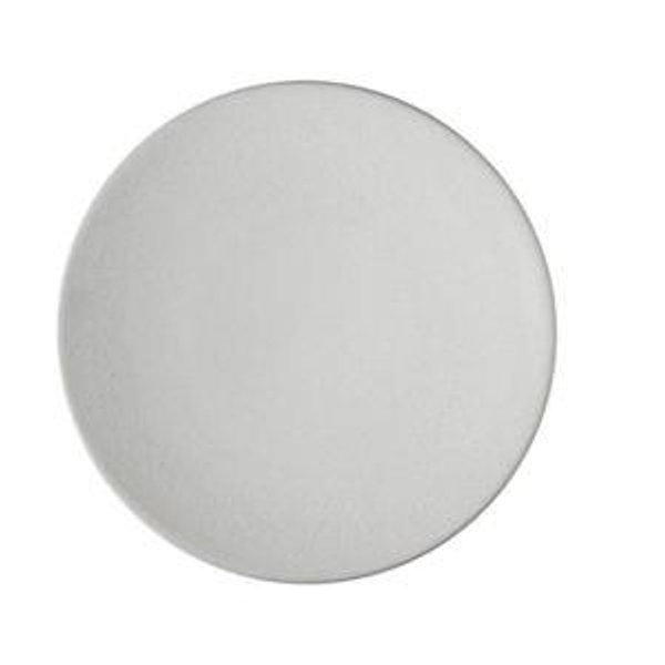 Tourron Dinnerware Neige Dinner Plate