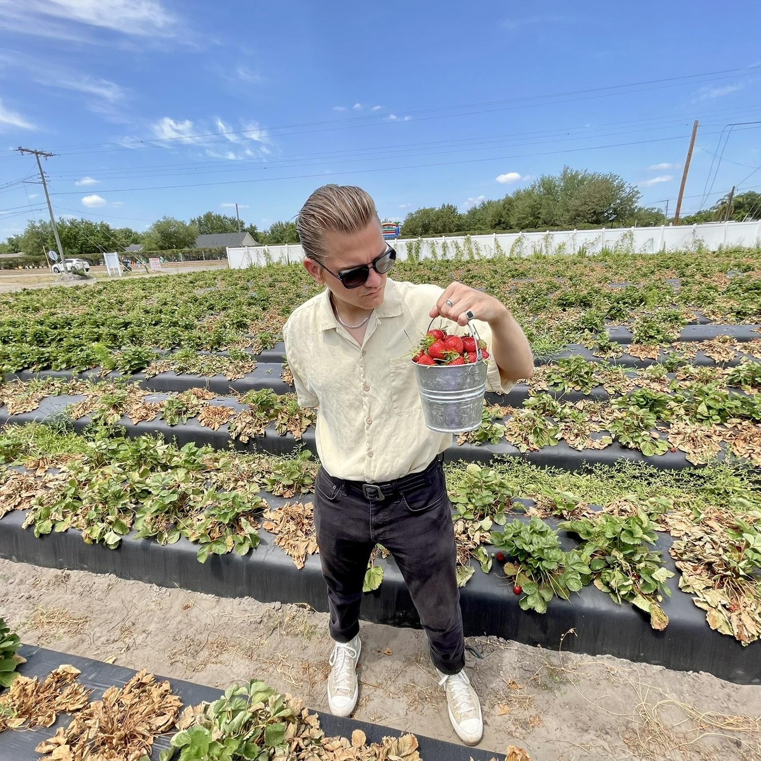 Clayman picking strawberries at the couple favorite farm