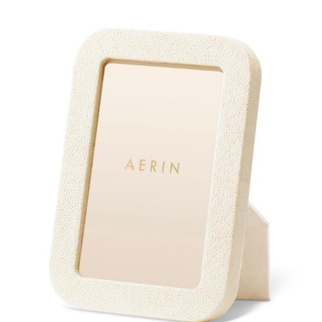 Modern Shagreen Frame
