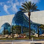 The Dalí (Salvador Dalí Museum)