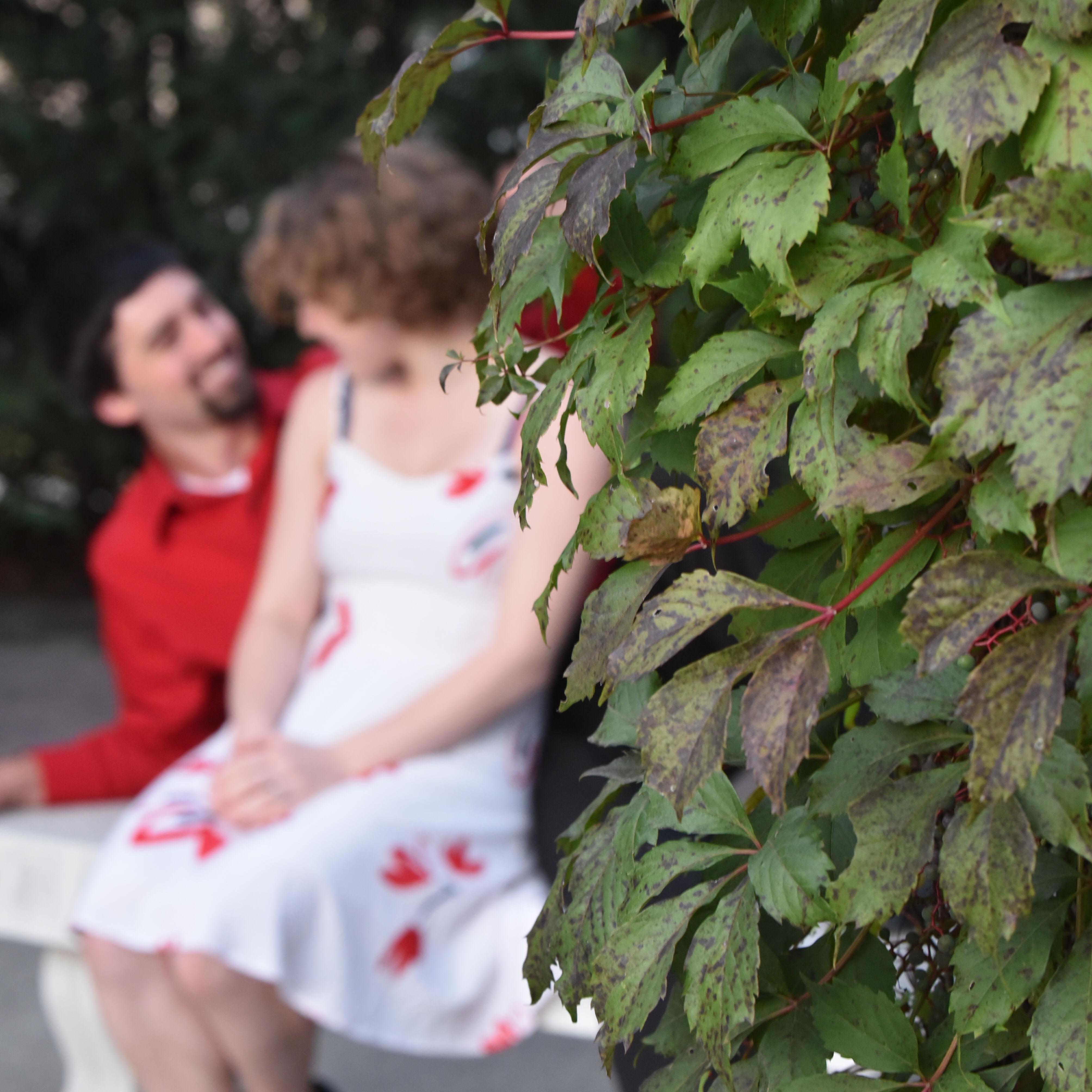 Strategically hiding behind a bush to evade the RA's.......