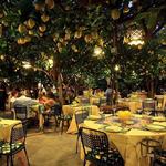 Ristorante "Da Paolino"