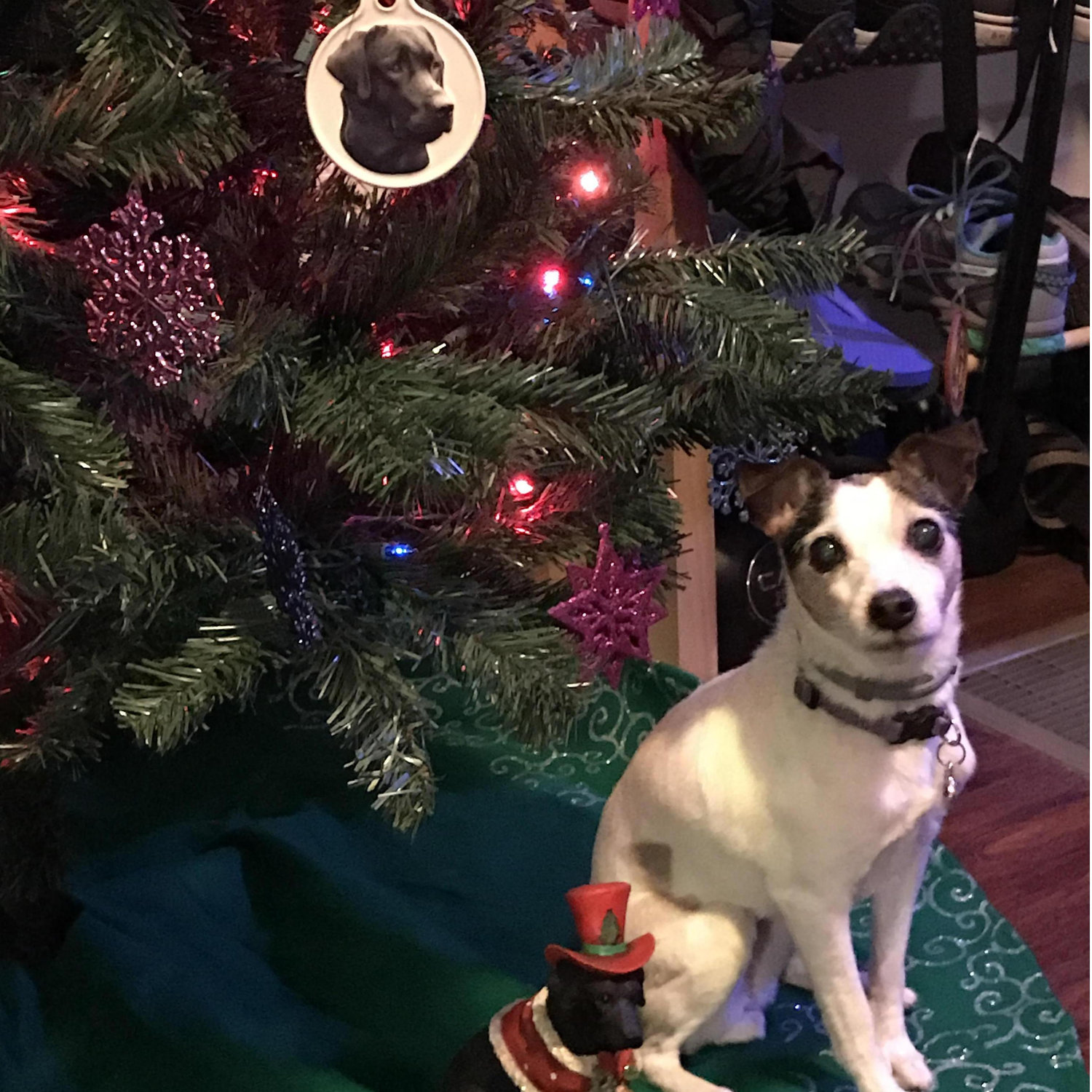 Tinka posing next to "Pooh" on the Christmas tree
