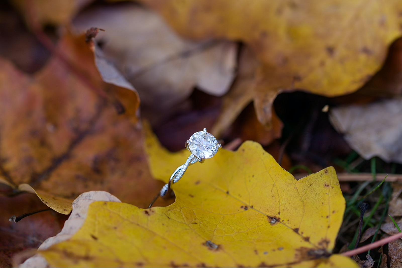 The Wedding Website of Mikayla Miller and Andrew Rhode
