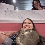 Tally Cat Cafe