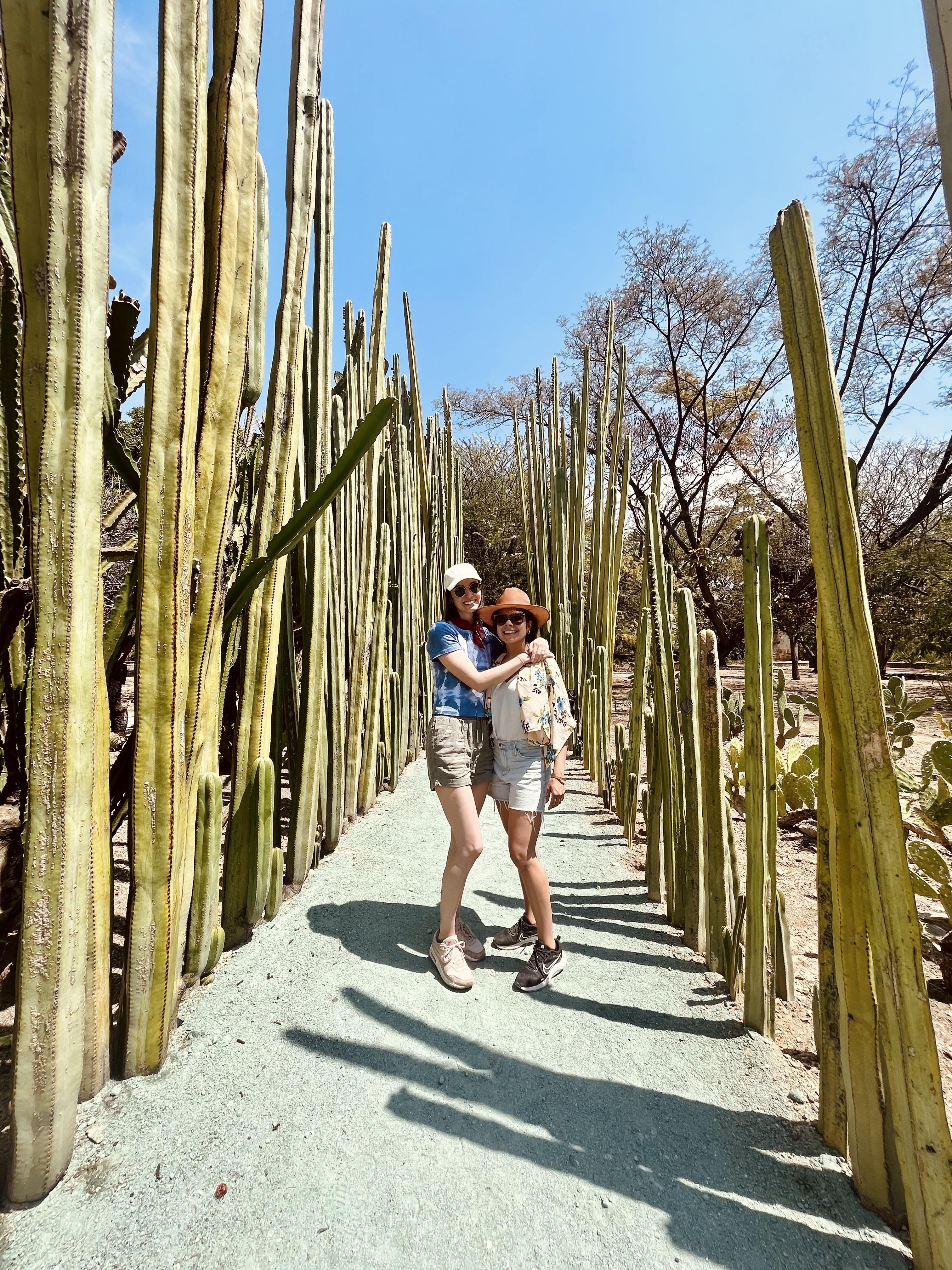 The Wedding Website of Alissa Hayes and Natacha Villegas