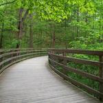 Saunders-Monticello Trail