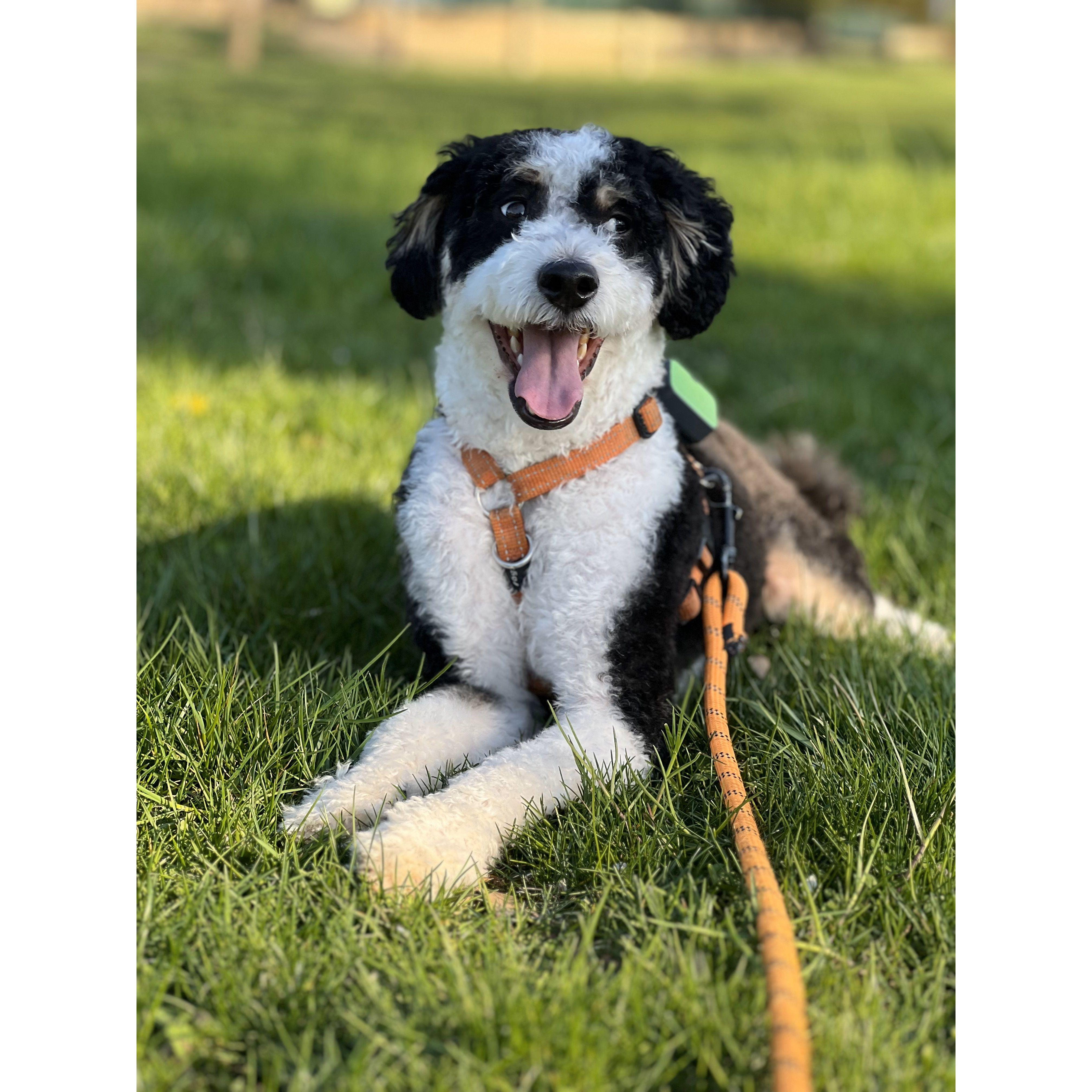 Our best boy!