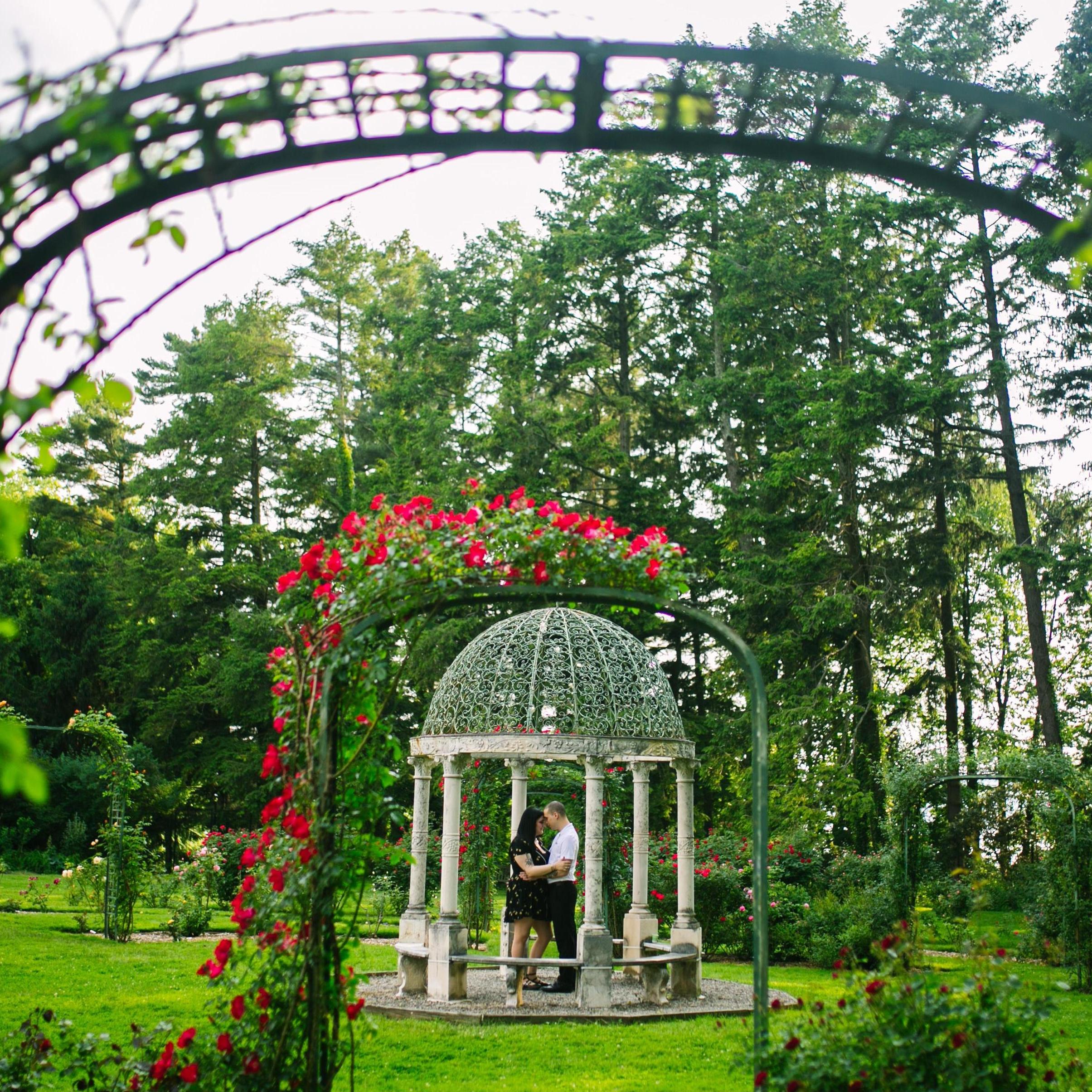 Lyndhurst Mansion rose garden in Tarrytown NY <3
photo credit: the masterful Jia, at www.frameyourlove.com