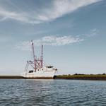 Bowens Island