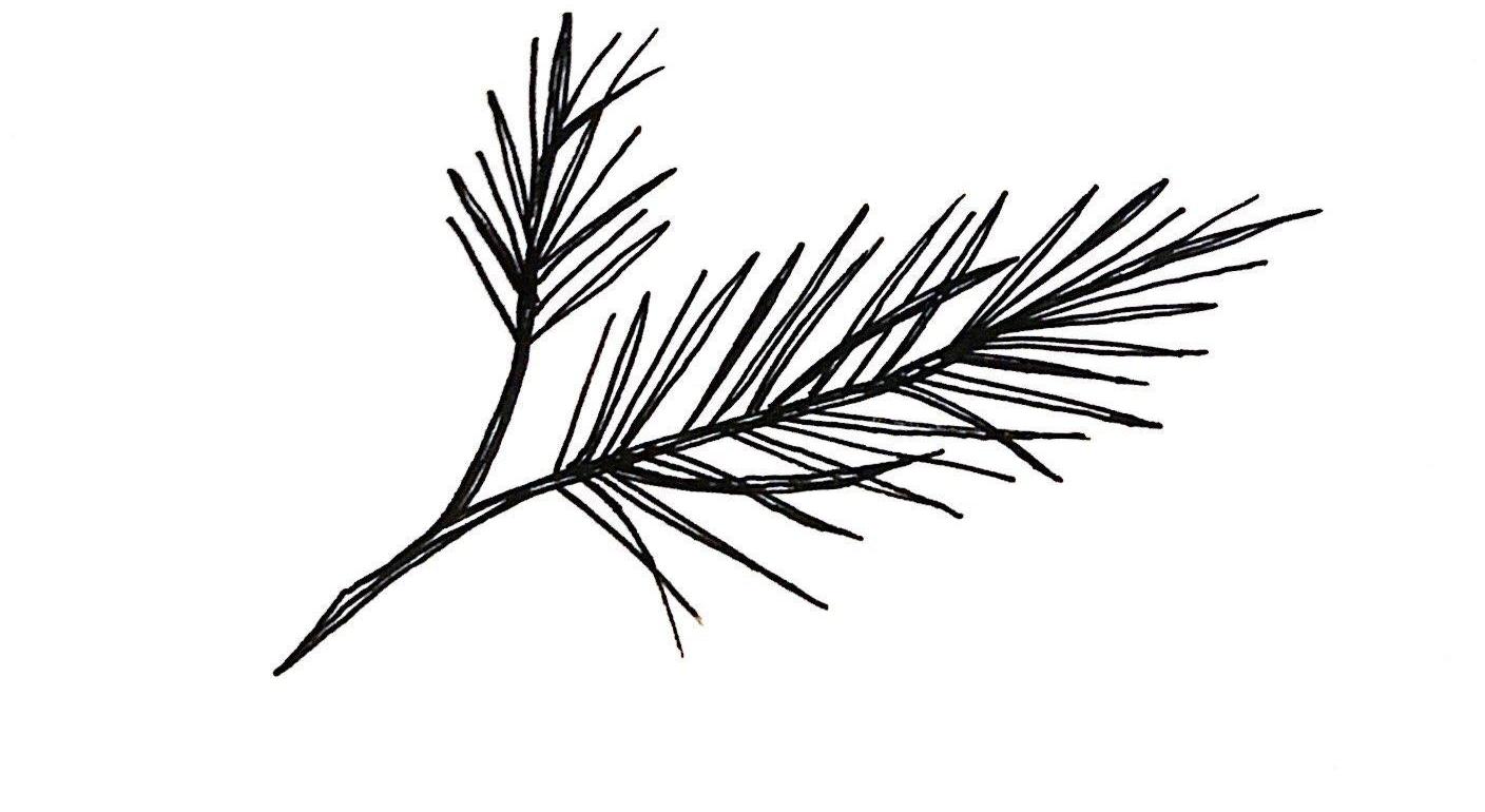 Footer image