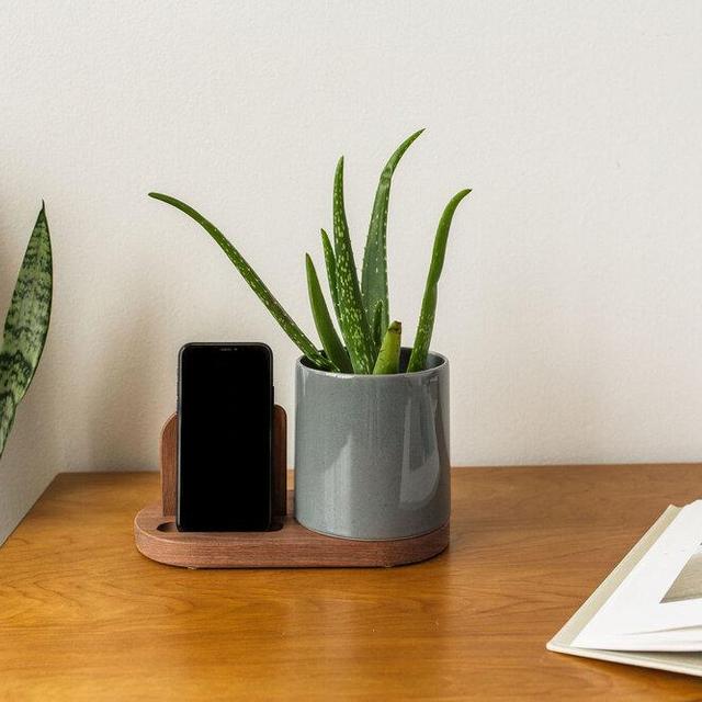 The FLORA Planter Phone Stand Gloss Slate Gray with Walnut Base