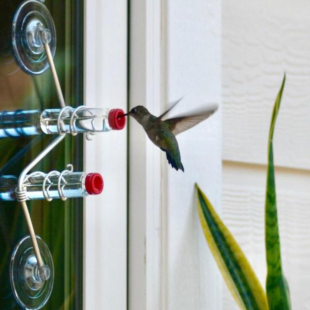 Geometric Window Hummingbird Feeder |...