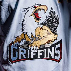 Family Night at a Grand Rapids Griffins Hockey Game