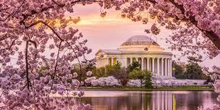 The Wedding Website of Sean McDaniel and Cicely Thomas