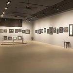 Wild Rose Gallery