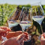 Temecula Wine Tasting