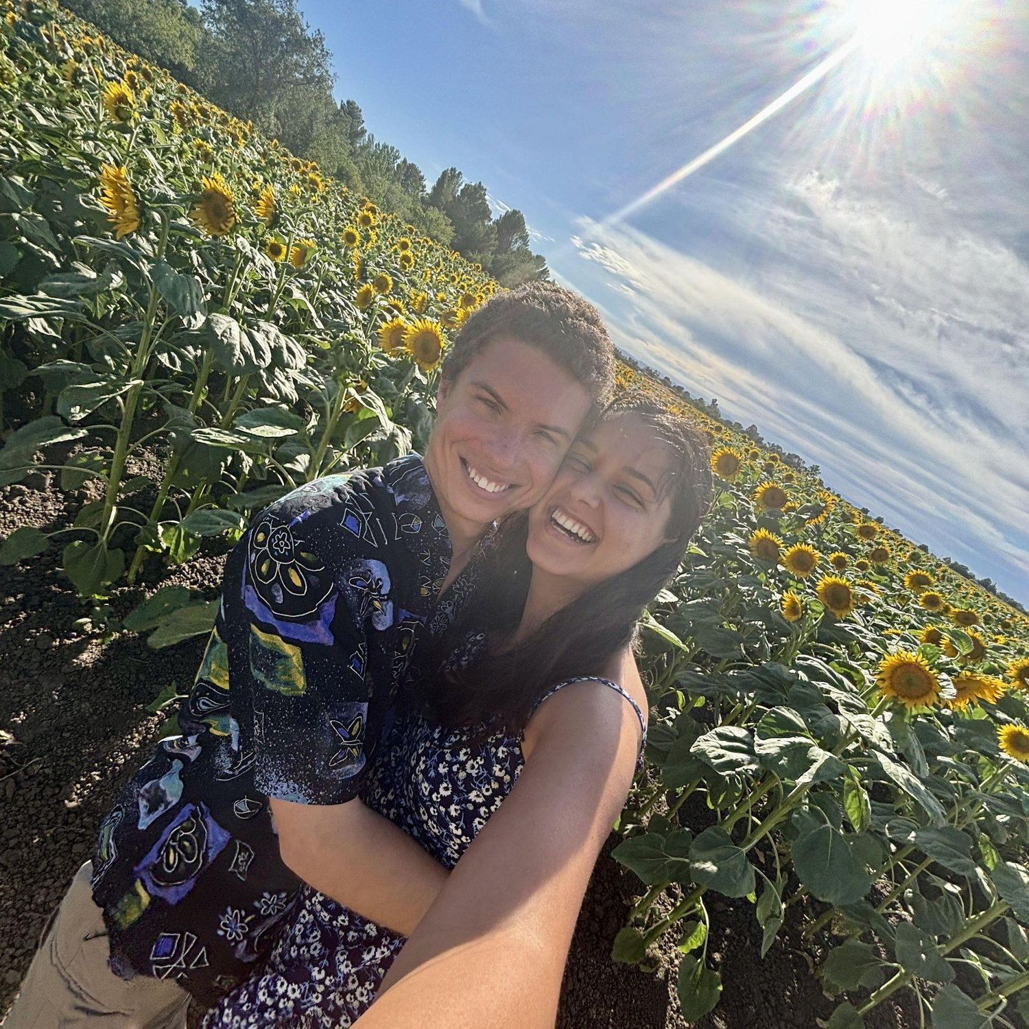 Davis, CA