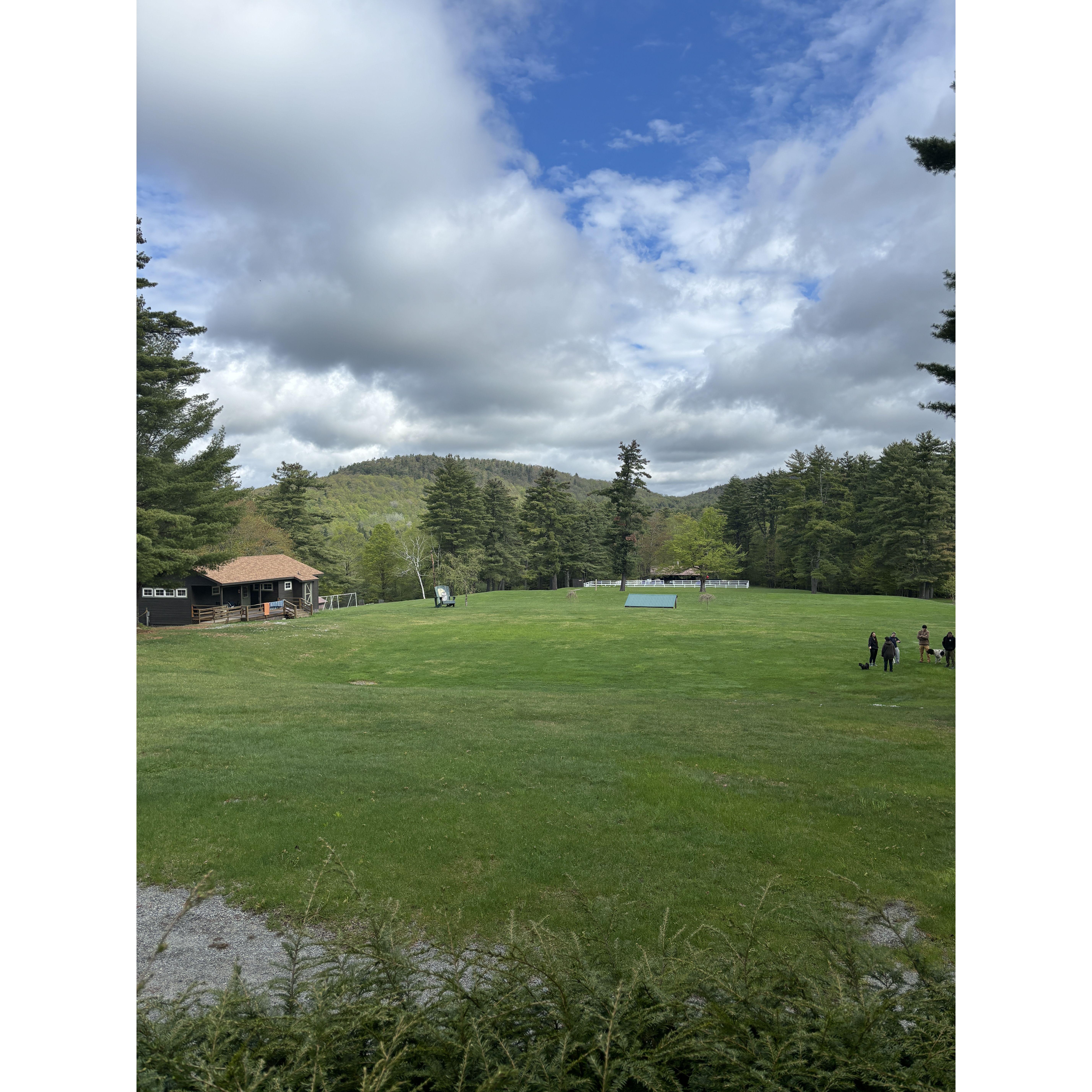 The lawn at girls camp