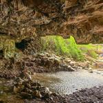 Natural Bridges Trailhead