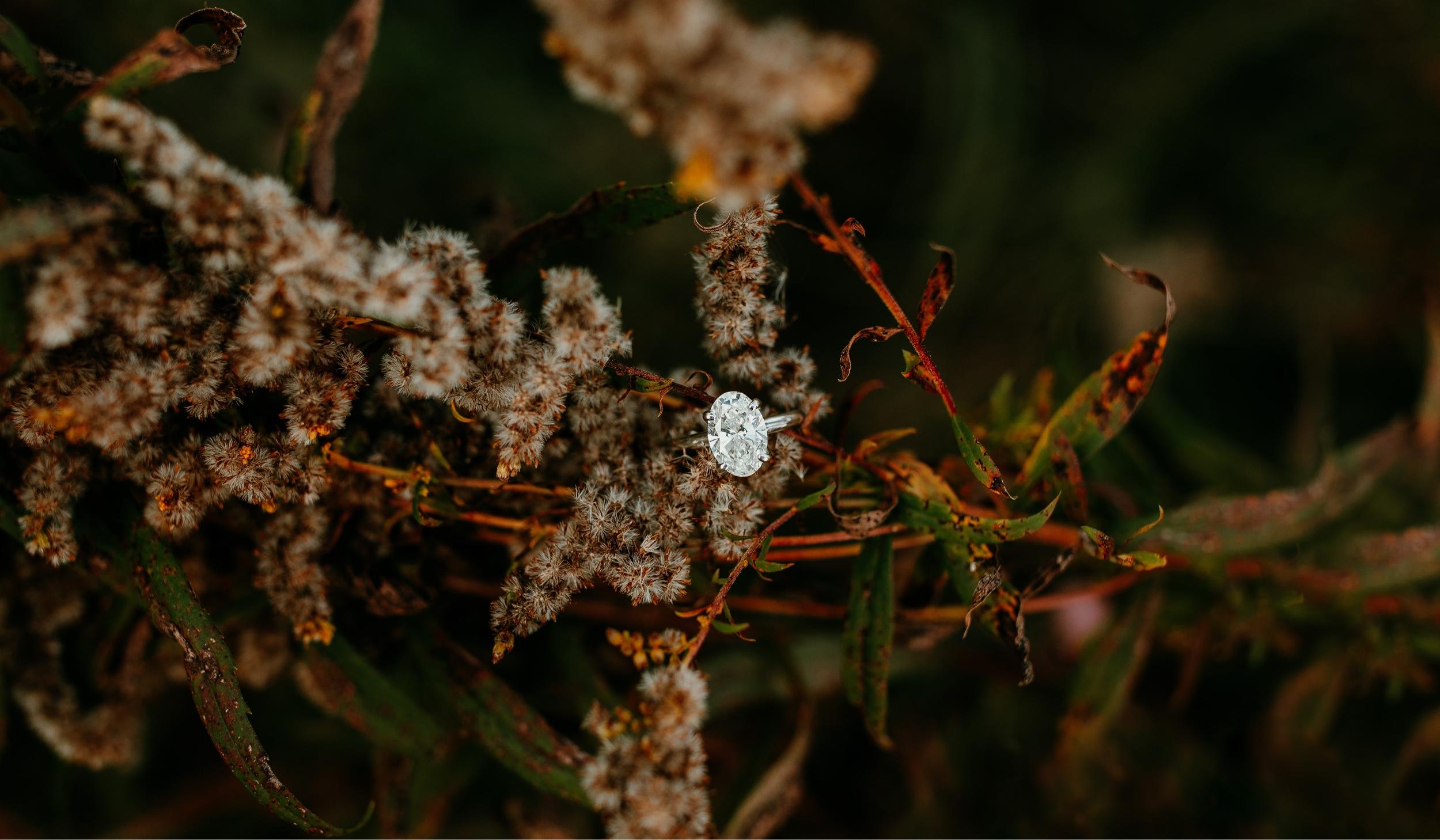 The Wedding Website of Mikayla Clark and Evan Laine