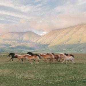 Our Honeymoon Out West