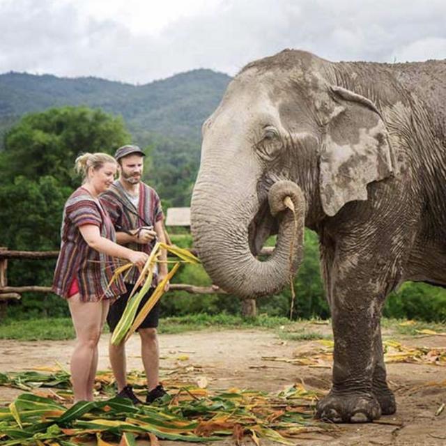 Elephant Sanctuary Excursion