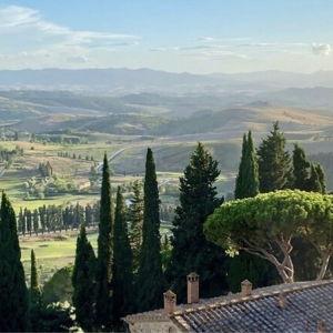 Chianti Wine Tour + Olive Oil Tasting