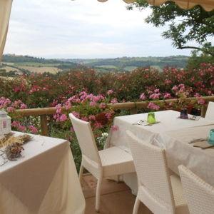 Romantic dinner in Tuscany for our Honey Moon