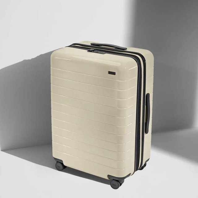 Checked Luggage for Hannah