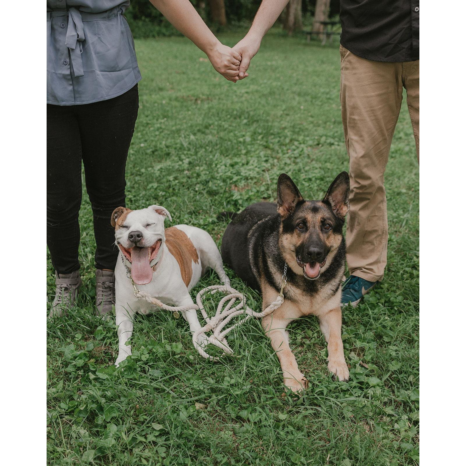 Engagement pictures with Rose (left) and Bear (right) at Hounz Lane Park!