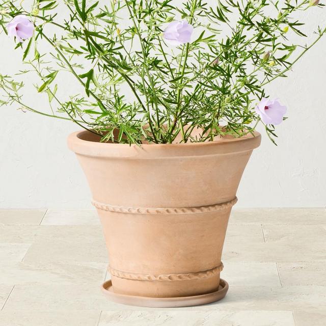 Williams Sonoma Terracotta Rope Trim Planter, Extra Large