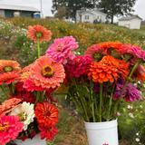 R & A Orchards