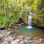 El Yunque National Forest