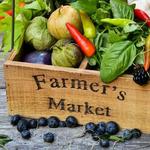 Burlington Farmers Market