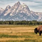 Grand Teton National Park