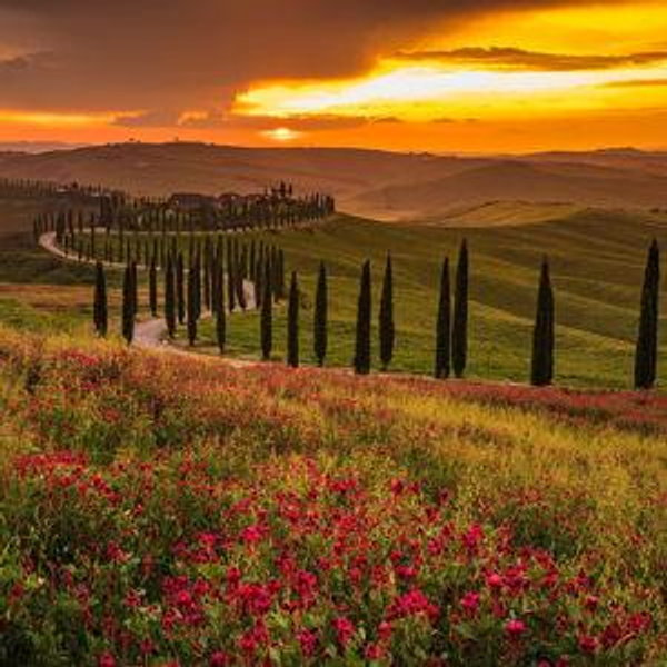 Winery Tour in France/Italy