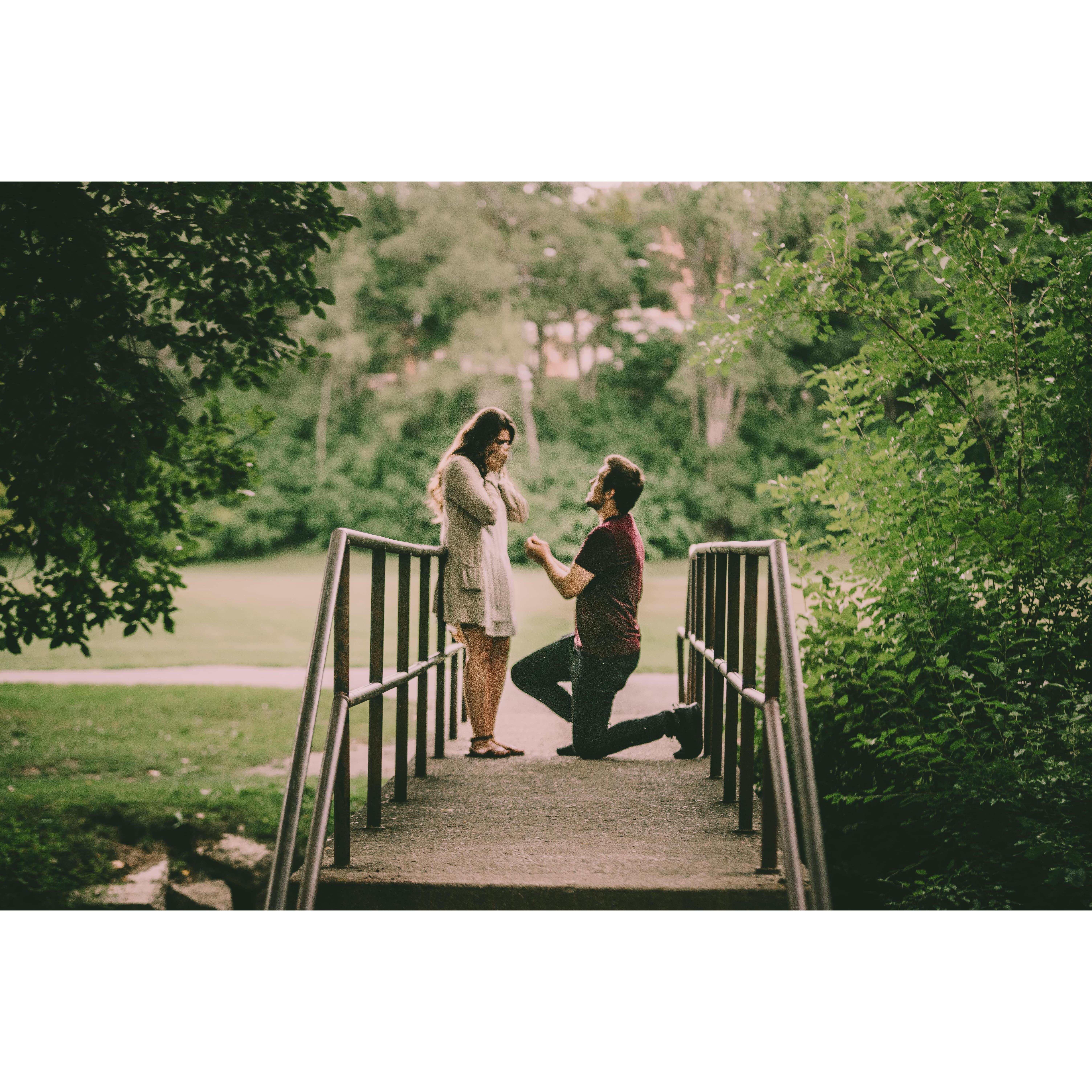 Joe asked and Sarah said yes on a bridge in a park on September 3rd, 2020.  Our photographer Mary was hiding, and caught this beautiful shot