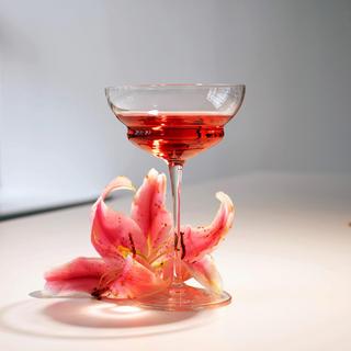 Backdoor '20s Hemmingway Cocktail Glass, Set of 4