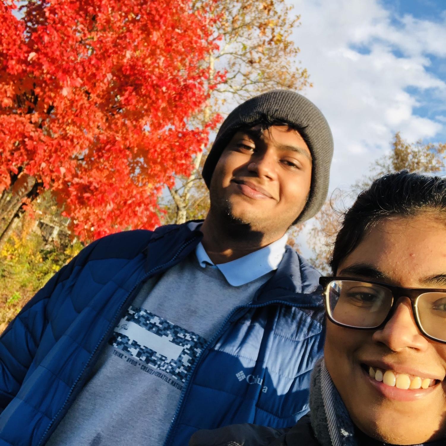 The walks