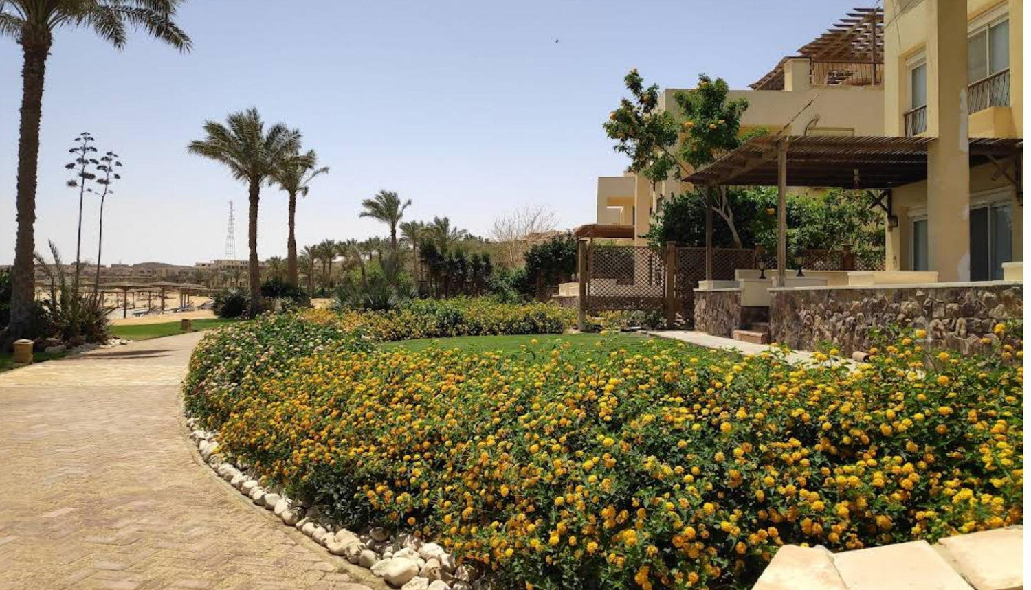 The Wedding Website of Maha Zaouil and Mohamed El Sehrawy