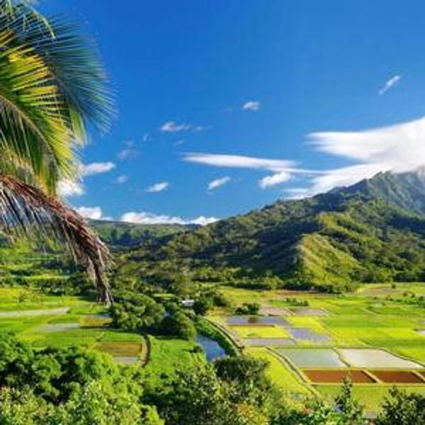 Hanalei Honeymoon Fund