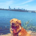 Lady Bird Lake