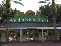 Audubon Zoo