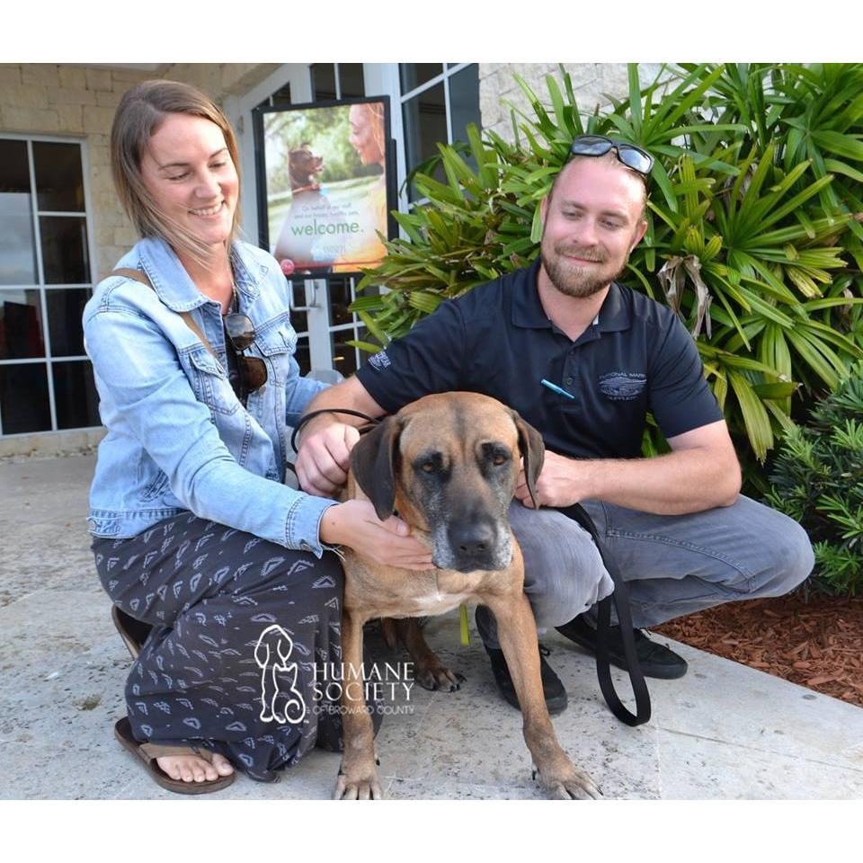 April 28, 2017. The day we brought Lilly home!