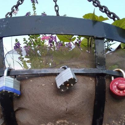 Locks of Love Harman Bridge Marietta, Ohio
