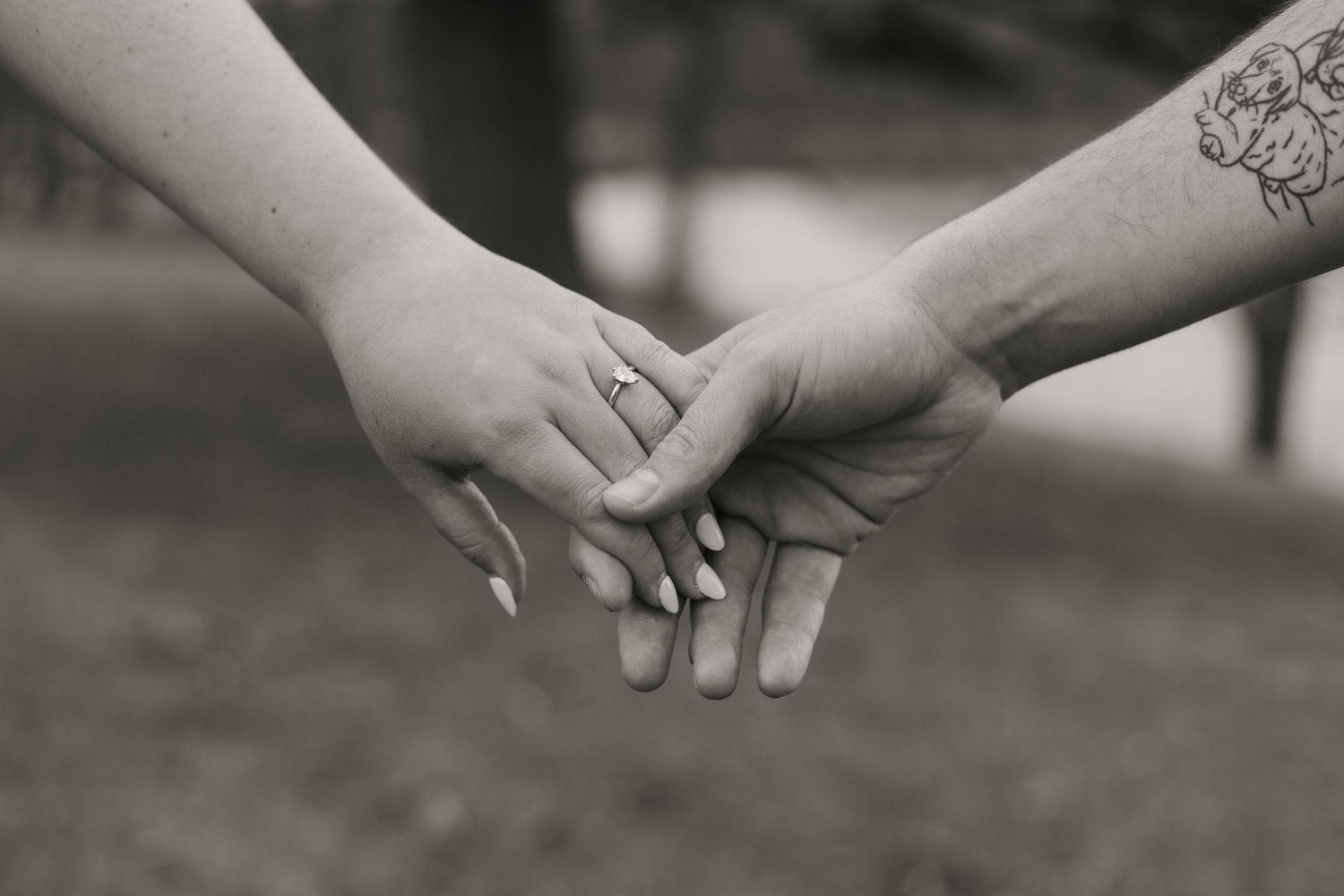 The Wedding Website of Alexandrea Quinn and Jarrett St. Hilaire